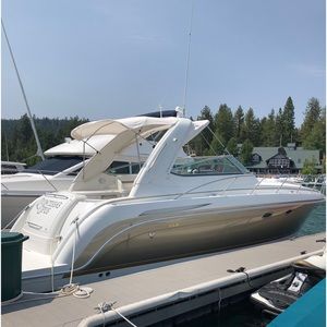 Meet your Posher, Owen